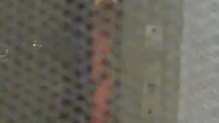 Vaikinas parsivežė savo mėgstamą merginą ir gavo įdaryti oslas pagal Gaidys
