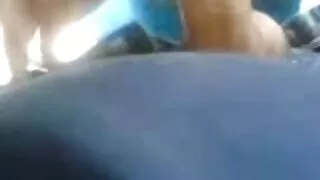 Jauna brunetė švelniai fucks save su sekso žaislai oslas ir nusiskuto pūlingas