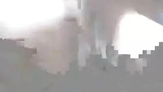 Graži Šviesiaplaukė Sekso su partneriu