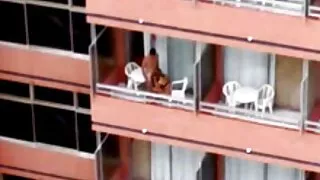 Dviejų Mama caressed viena kitos pussies ir moaned su pūlingas